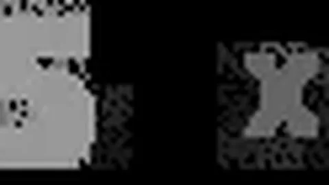 拜仁战罢得分榜：乌尔比希与凯恩评分低迷，萨内表现抢眼